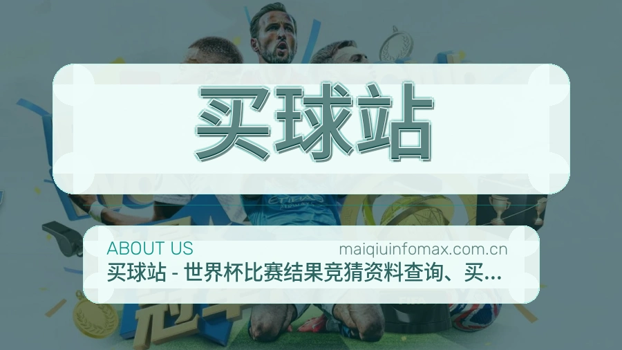 买球站 关于我们展示图